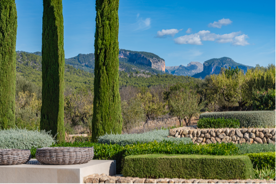 Garden 2 Finca in Palma de Mallorca